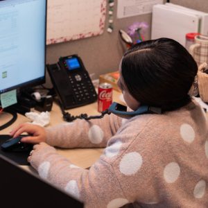 Woman at desk talking on phone, using computer.